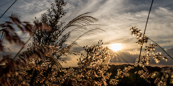 Além da Vida – Ritual de Passagem